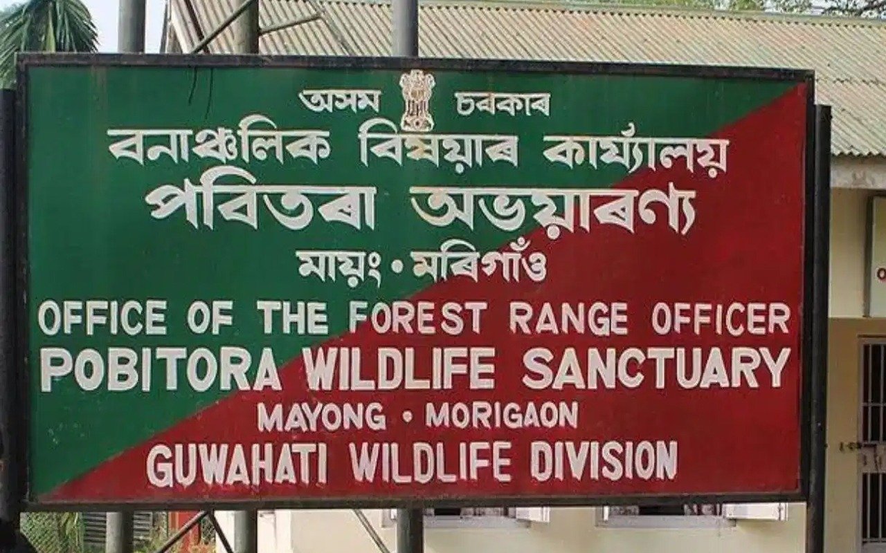 আজিৰে পৰা পৰ্যটকৰ বাবে মুকলি হ'ল পবিতৰা অভয়াৰণ্য