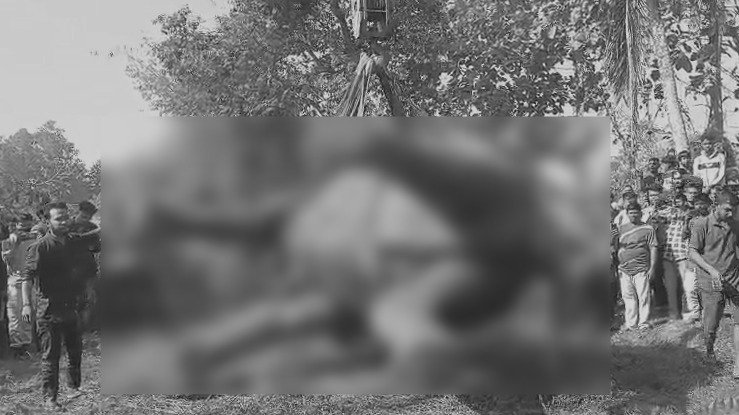 পলাশবাৰীৰ কান্দুপুৰত বনৰীয়া হাতীৰ কৰুণ মৃত্যু।