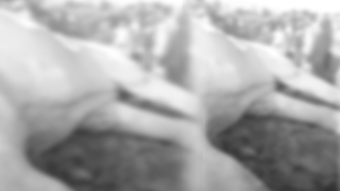 পুনৰ ৰাজ্যত বন্যহস্তীৰ কৰুণ মৃত্যু